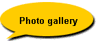 Photo gallery